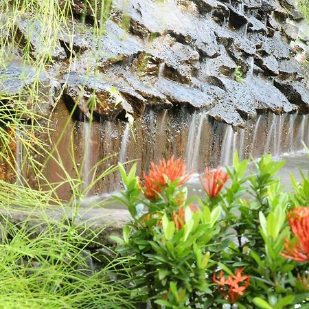 Ayurveda Centrum Lawrence Hill Paradise Hikkaduwa Bagian luar foto
