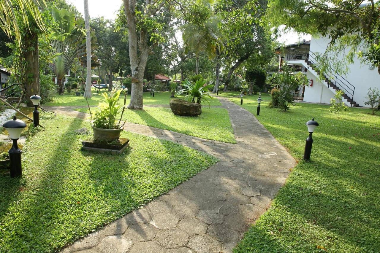 Ayurveda Centrum Lawrence Hill Paradise Hikkaduwa Bagian luar foto