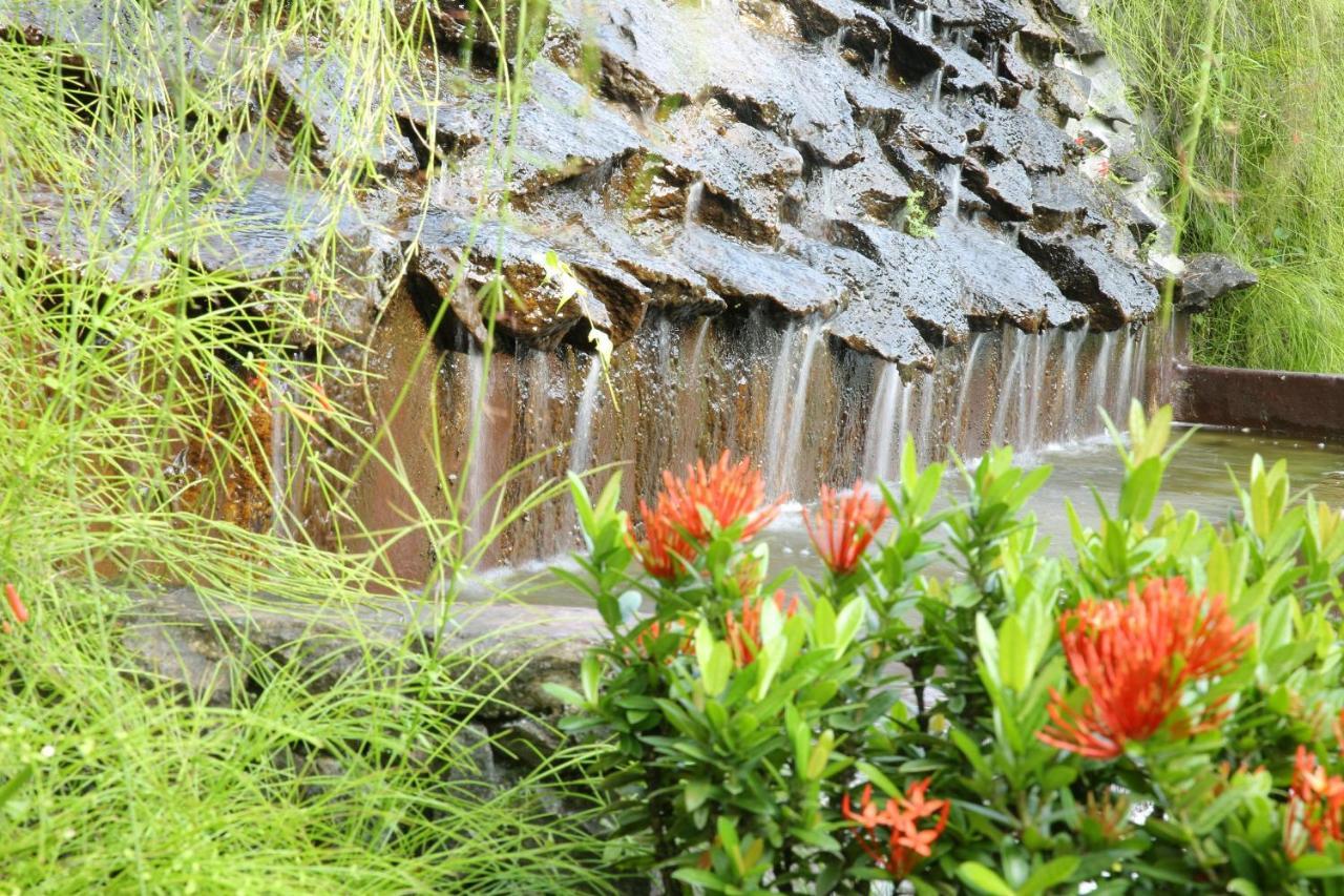 Ayurveda Centrum Lawrence Hill Paradise Hikkaduwa Bagian luar foto