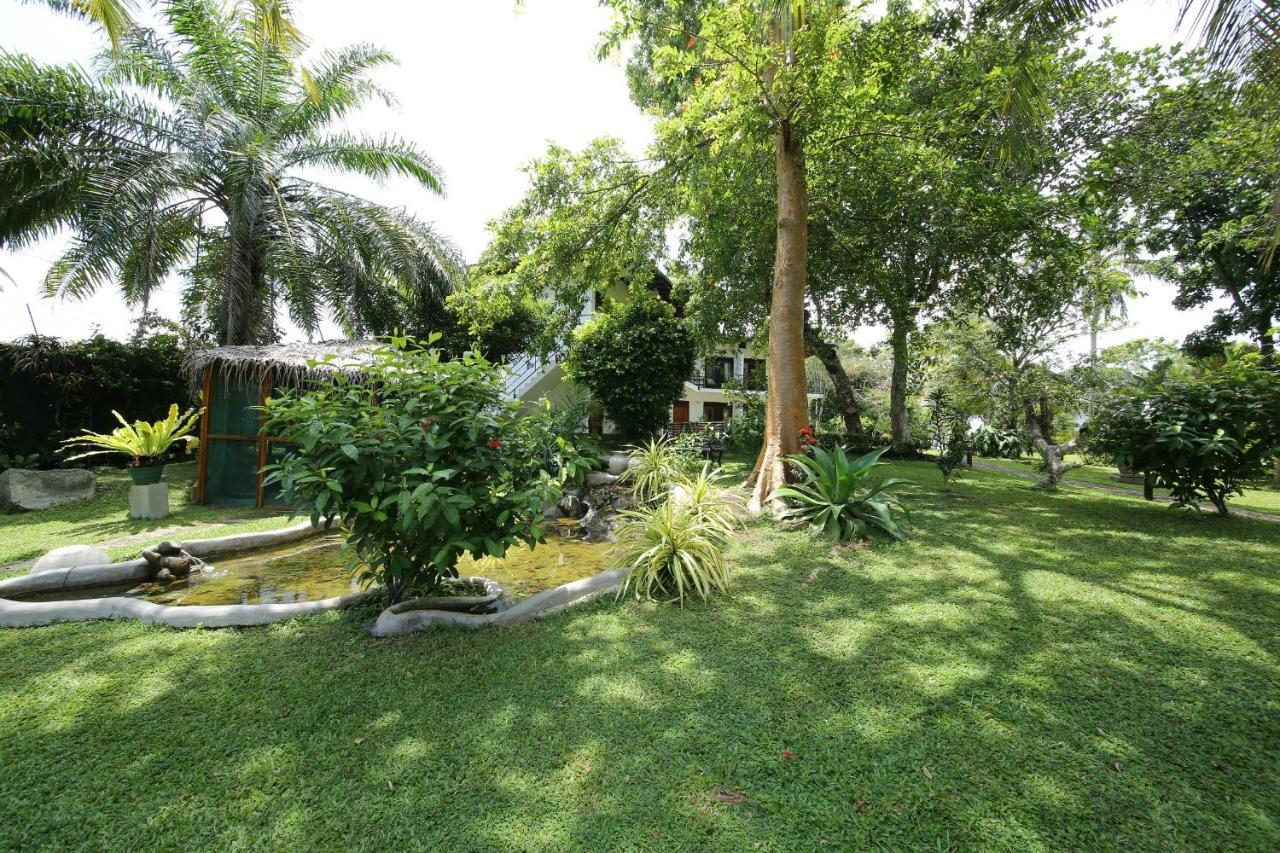 Ayurveda Centrum Lawrence Hill Paradise Hikkaduwa Bagian luar foto